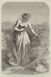 Ausstellung der Gesellschaft der Aquarellmaler, Die Lilie